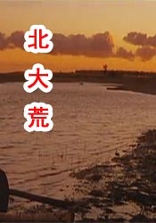 蚁人3在线观看完整免费高清国语