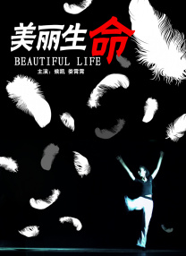 风月宝鉴