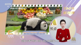 向往的生活第七季在线观看